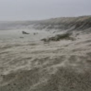 Meet your Posher, Benjamin